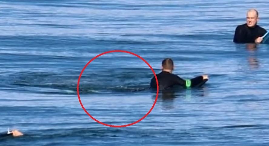 Imagem registra tubaro a poucos segundos de arrancar perna de surfista na Austrlia